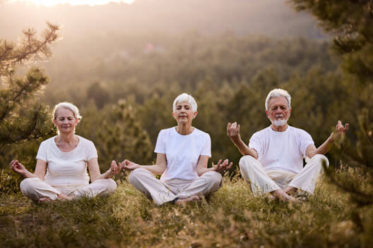 Photo de Yoga des séniors