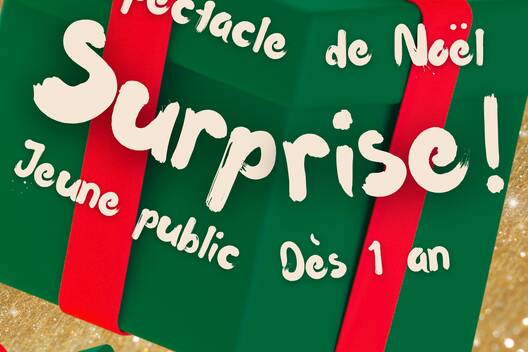 Photo de Spectacle Surprise!