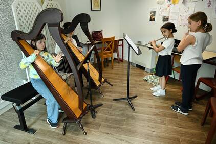 Pratiques collectives Pratiques collectives de la harpe