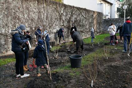 Square Volta Courbevoie - plantation participative 2023