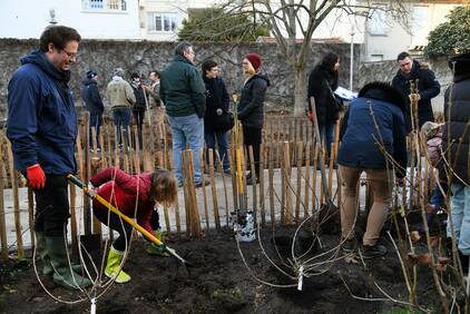 Square Volta Courbevoie - plantation participative 2023