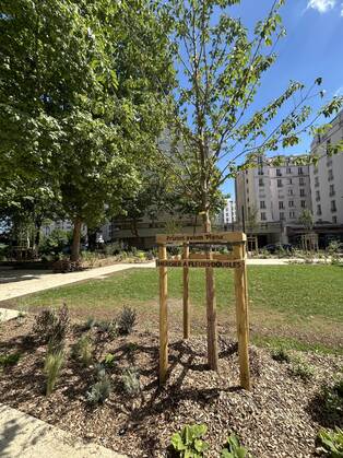 Photo de l'avenue Gambetta à Courbevoie à la fin de la première phase des travaux.