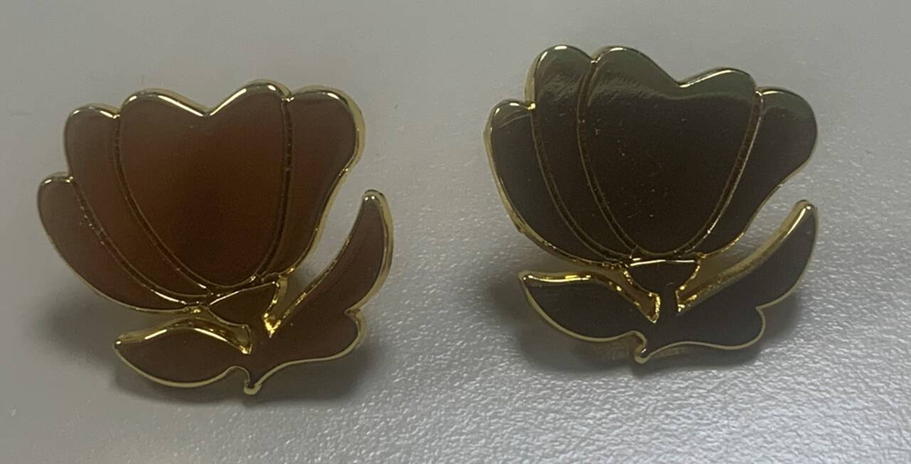 Photo des 2 pins fleurs d'or de Courbevoie