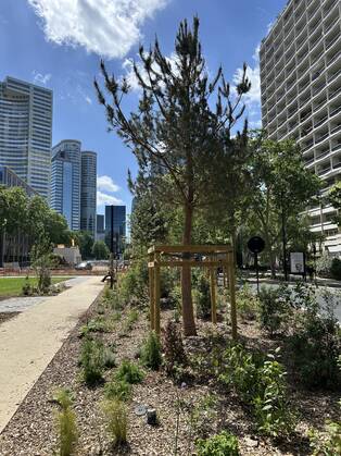 Photo de l'avenue Gambetta à Courbevoie à la fin de la première phase des travaux.