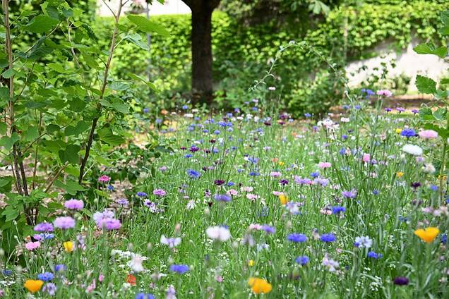 Nouveau square Volta à Courbevoie 2023