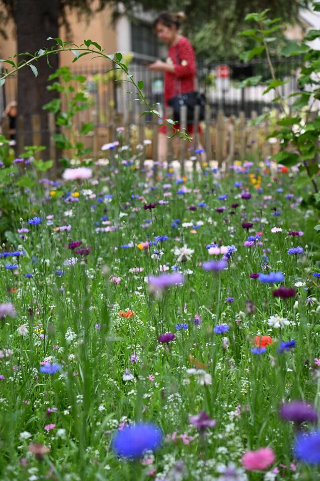 Nouveau square Volta à Courbevoie 2023