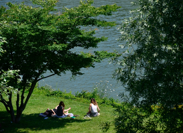 Photo des berges de Seine