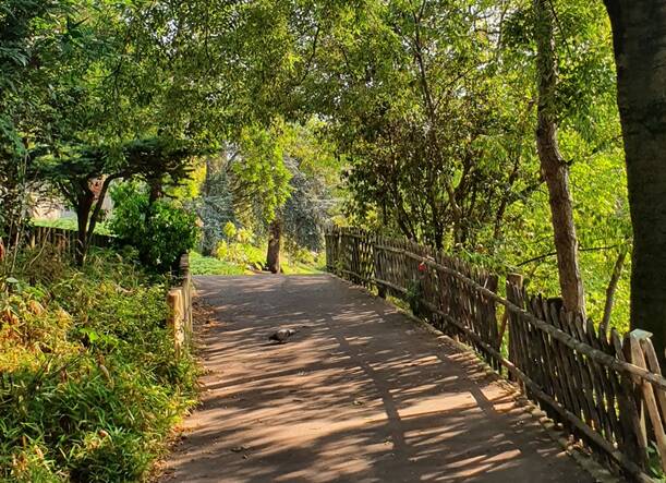 Photo d'urbanisme végétal à Courbevoie