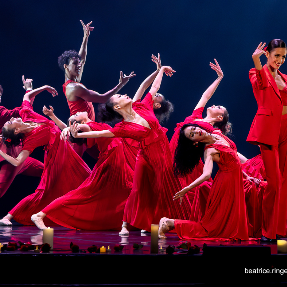 Danse - Carmen, le ballet