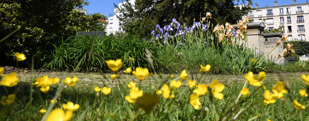 Photographie de l'ancien cimetière de Courbevoie